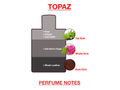 BodyX Unisex Perfume TOPAZ EDP 100 ML