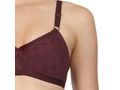 Perfect Coverage Bra-5524WI