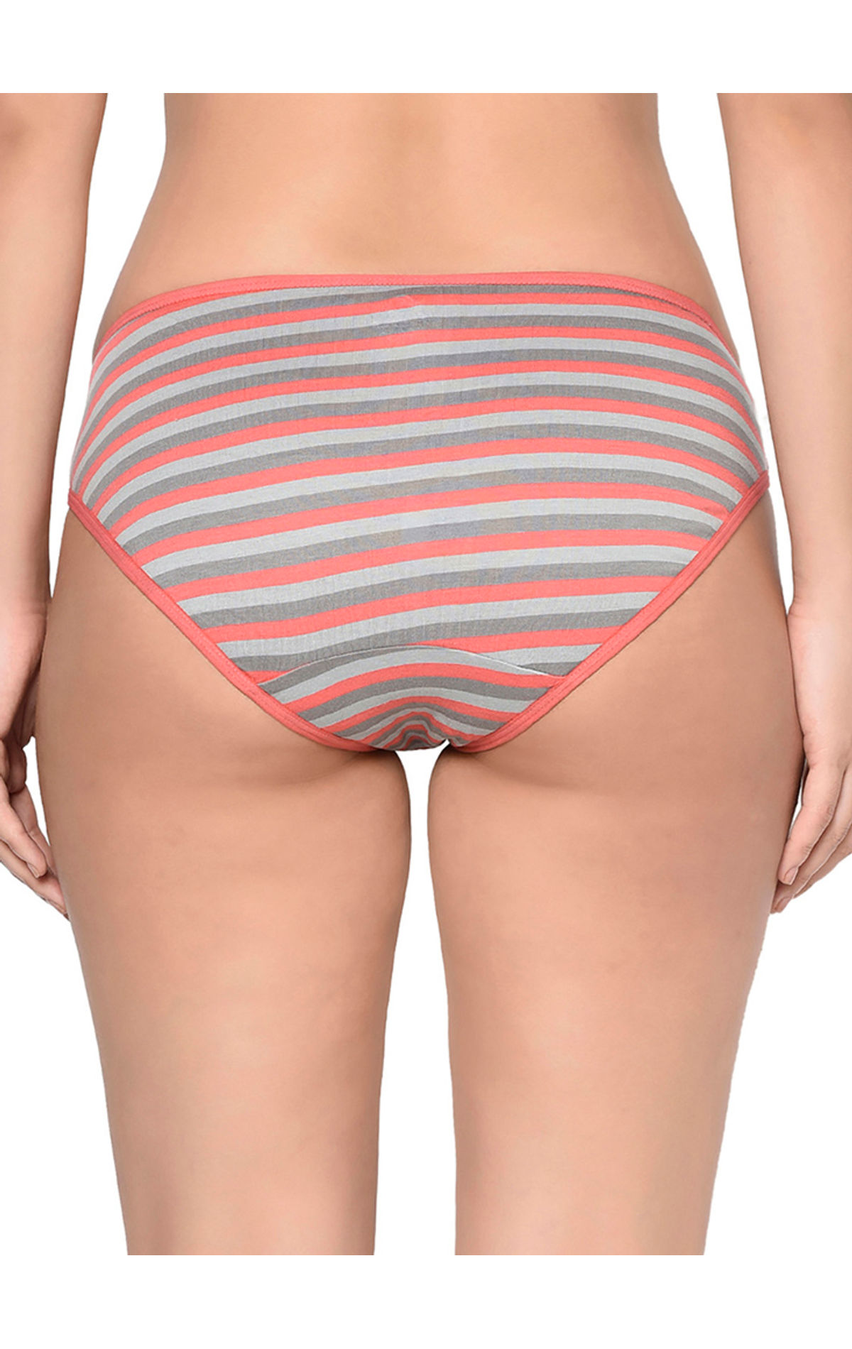 Striped Bodycare Ladies Cotton Brief Panty at Rs 495/piece in New