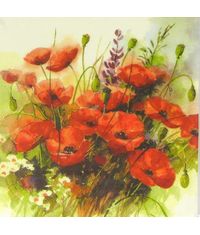 Napkin - Wild Poppies (Decoupage Napkin)