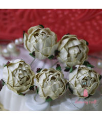 Cabbage Rose - Cream