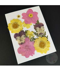 Dry Flowers - Yellows & Pinks