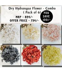 Dry Hydrangea Flower - Combo (Pack of 6)