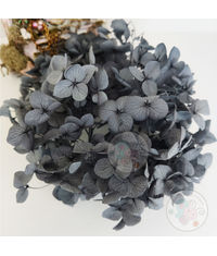 Dry Hydrangea Flower - Grey