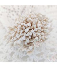 Grain Pastel Thread Pollen - Ivory