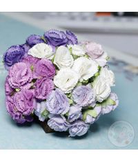 Purple - Carnations Combo