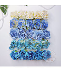 Curved Roses Blue Combo Set  - 35 MM - 50 Pcs/ Pack