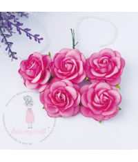 Curved Roses 45 MM - Bubblegum