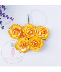 Curved Roses 45 MM - Butterscotch
