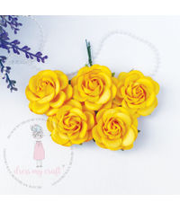 Curved Roses 45 MM - Mango