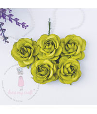 Curved Roses 45 MM - Pear Green