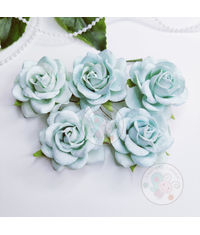 Curved Roses 45 MM - Baby Blue