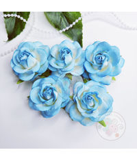 Curved Roses 45 MM - Aqua Blue