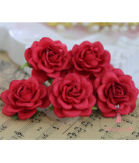 Curved Roses  45 MM - Soft Red