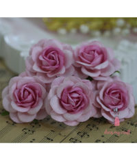 Curved Roses 45 MM - Pink Beauty