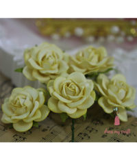 Curved Roses 45 MM - Pastel Yellow