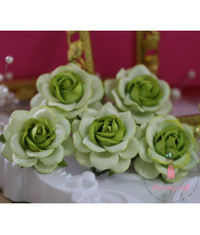 Curved Roses 45 MM - Green Beauty