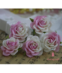 Curved Roses 45 MM - Pink Combo