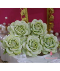 Curved Roses 45 MM - Soothing Green