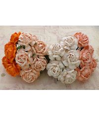 Curved Roses Combo - PEACH/ORANGE