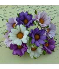 Daisy Flower - Purple Combo