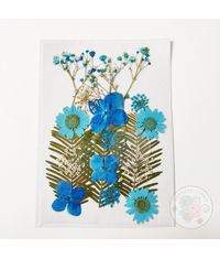 Dry Flowers - Blue Family