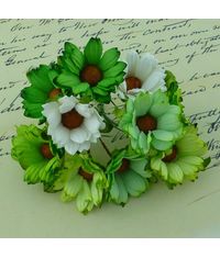 Daisy Flower - Green Combo