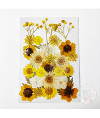 Dry Flowers - Yellow #1