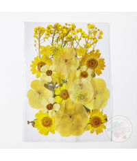 Dry Flowers - Yellow #2