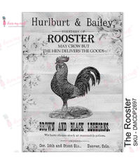 The Rooster - Transfer Me