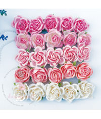 Curved Roses Pink Blush Combo Set  - 35 MM - 50 Pcs/ Pack