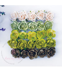 Curved Roses Fresh Green Combo Set  - 35 MM - 50 Pcs/ Pack