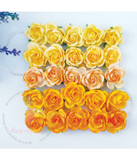 Curved Roses Sunrise Yellow Combo Set  - 35 MM - 50 Pcs/ Pack