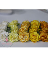 Curved Roses Combo Set #4 - 45 MM - 50 Pcs/ Pack