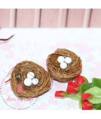 Miniature Bird Nest With Egg