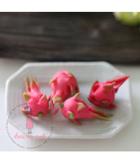 Miniature Red Dragon Fruit