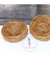 Miniature Bird Nest