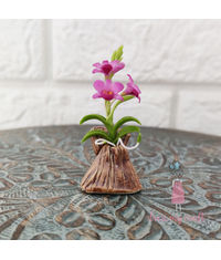 Miniature Dendrobium Orchid Bunch - Pink With Pot & Box