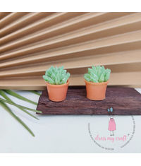 Miniature Succulent Flower Pot