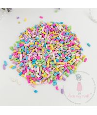 Rainbow Crumbs Shaker Slices