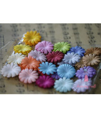 Daisy Flat Flowers - Multicolor