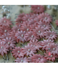 Daisy Flat Flowers with Pollens - Pink