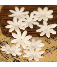 Daisy Flat Flowers - Ivory