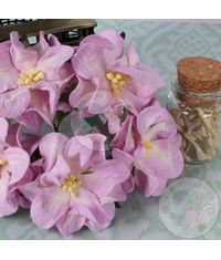 Gardenia Flowers - Lilac