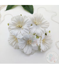 Hollyhock Flower - Ivory