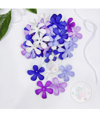 Jasmine Flower Petals - Purple Family