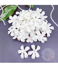 Jasmine Flower Petals - White