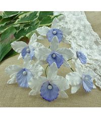 WHITE WITH LILAC/BLUE  - Orchids Combo