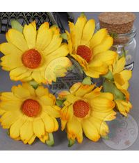 Bright Yellow - Mulberry Daisy Flower