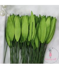 Tulip Leaves - Green